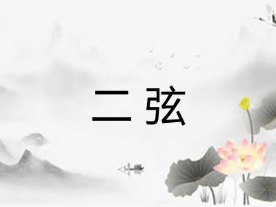二弦 二弦
