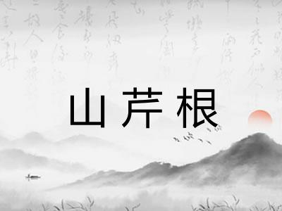 山芹根 山芹根