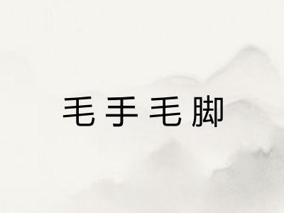 毛手毛脚 毛手毛脚