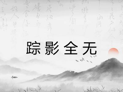 踪影全无